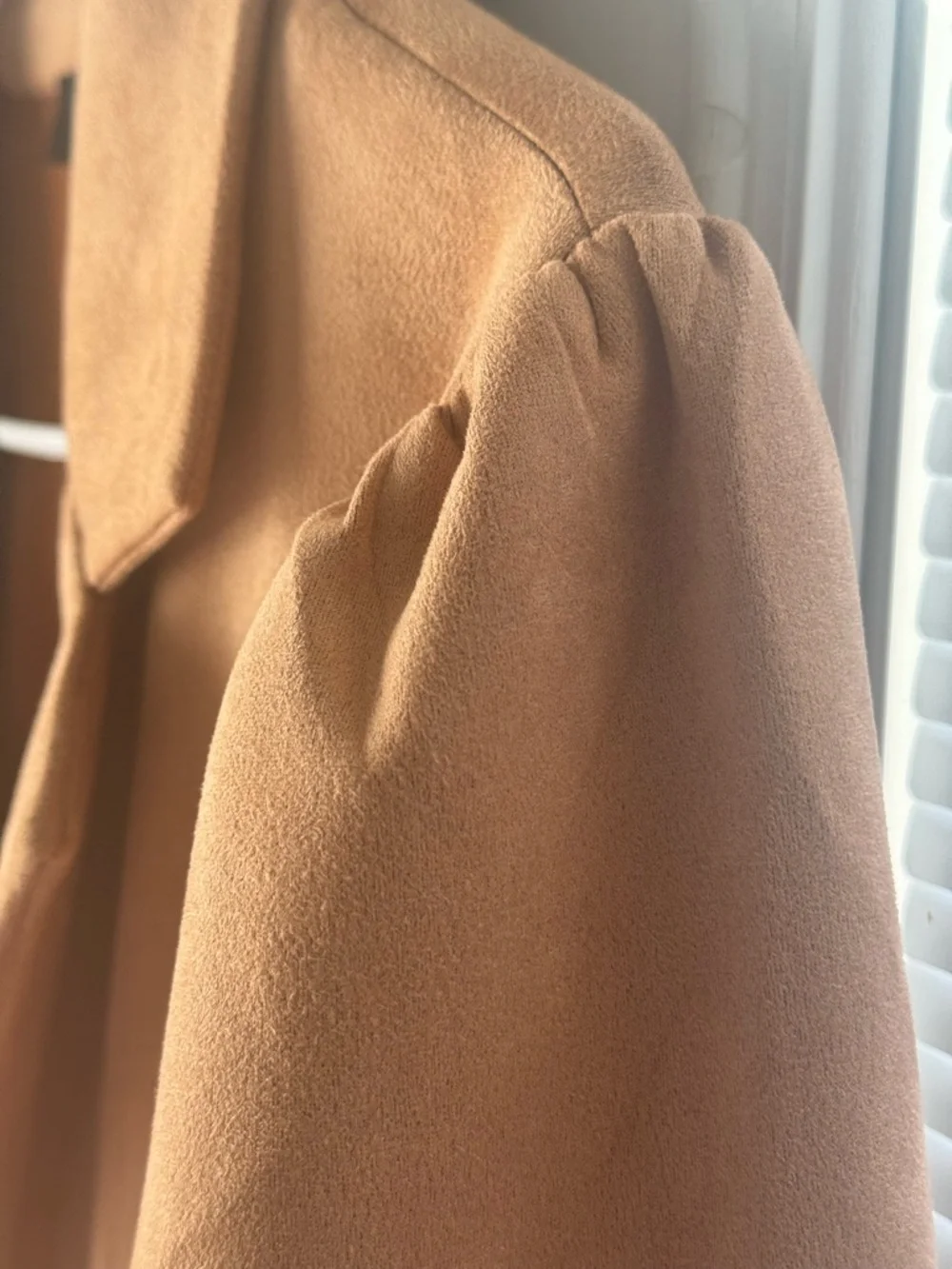 Camel Single-Button Blazer - Picture 5 of 9